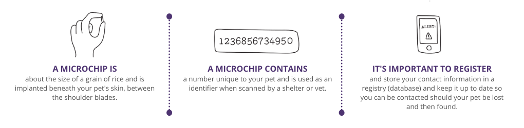A graphic showing information about microchips