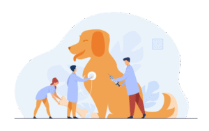 An illustration of tiny doctors caring for a big dog